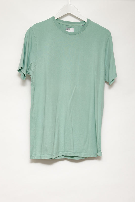 Mens Colourful Standard Green T-shirt size Small